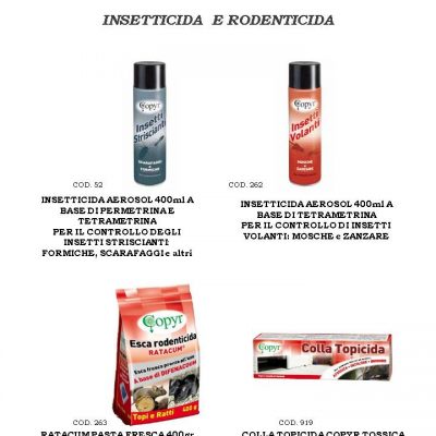 Diapositiva18